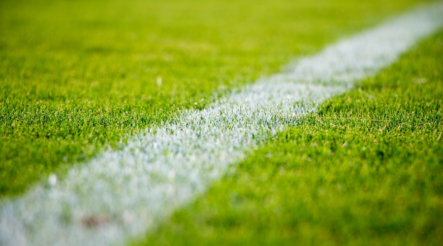 Organically Managed Grass Athletic Fields